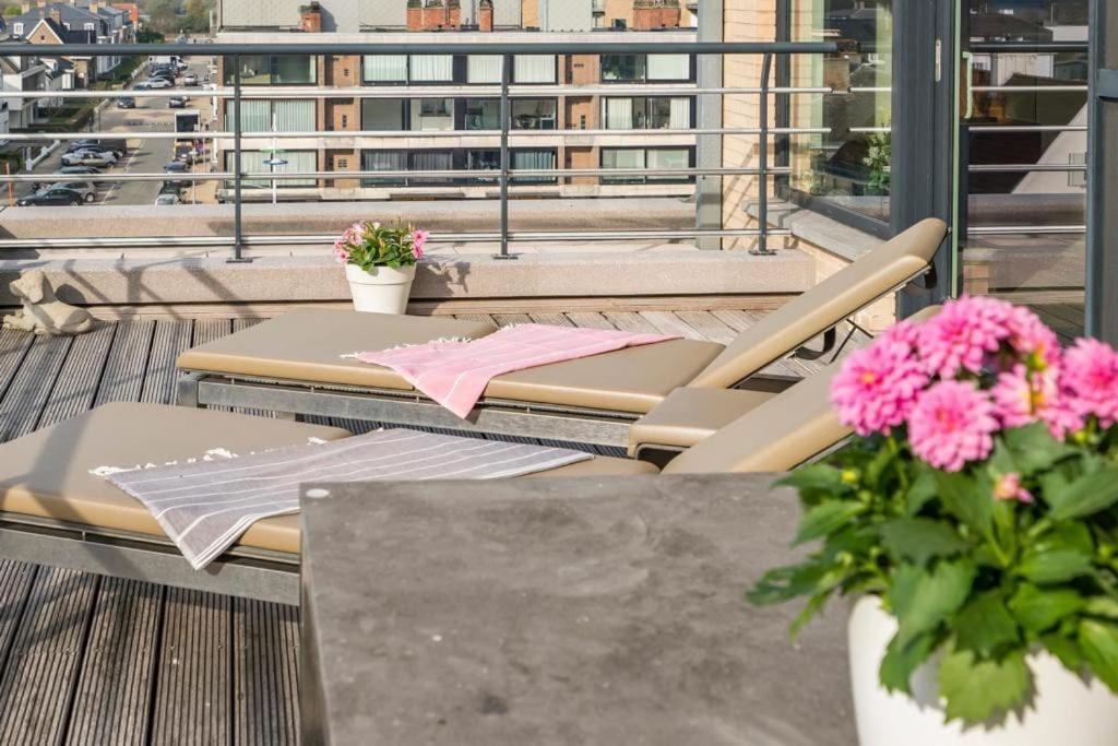 Ruim Met Heerlijk Zonneterras