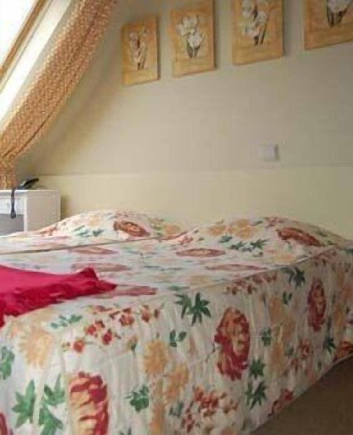 Botaniek 3* Bruges