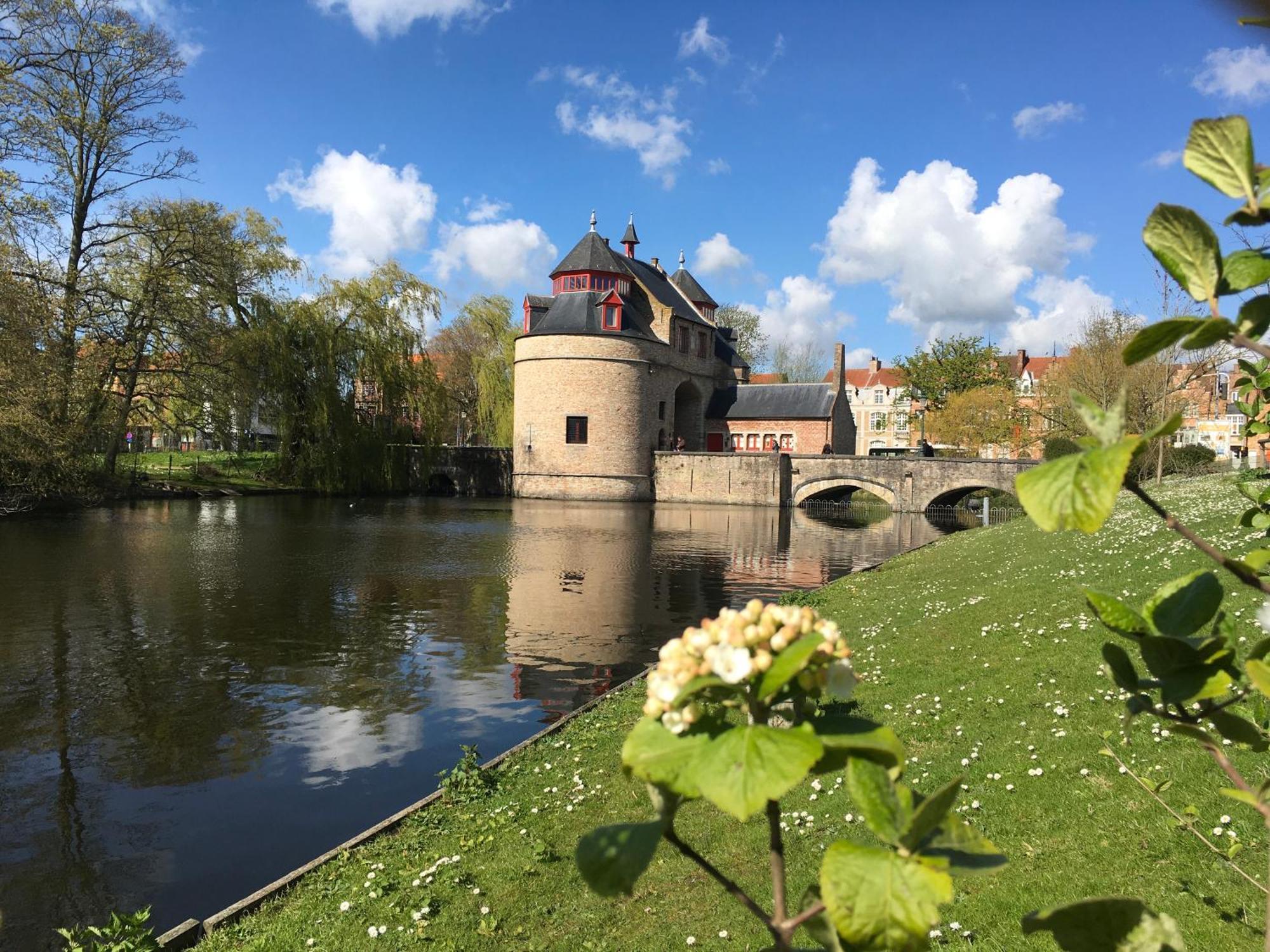 Royal Swans Frühstückspension Brügge