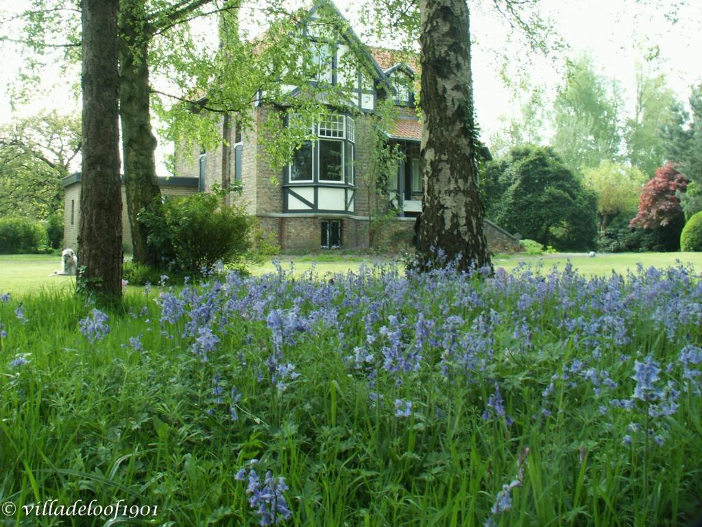 De Loof 1901 Bed & Breakfast
