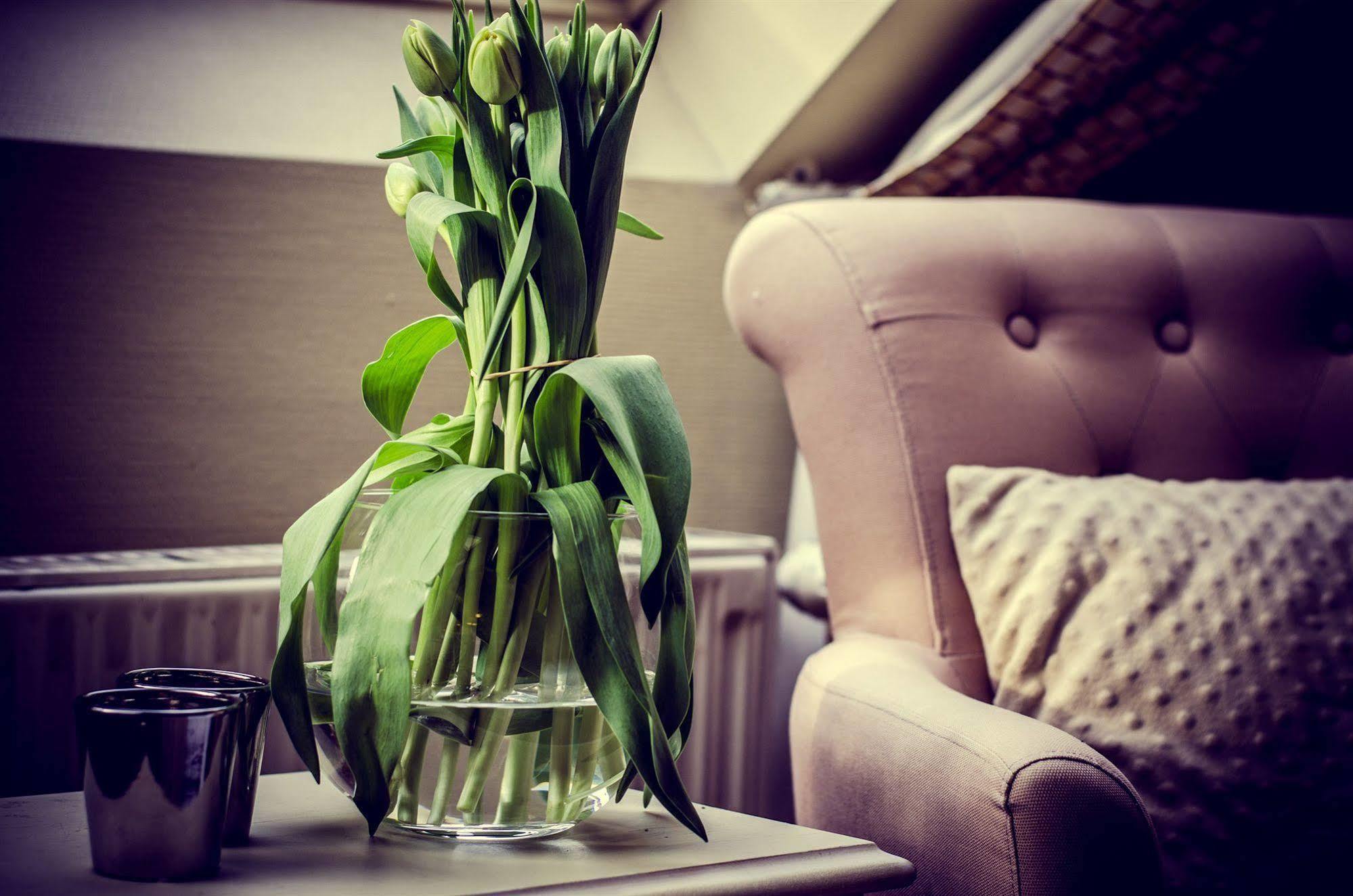 Hotel Botaniek 3*