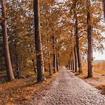 Ryckevelde Homestay