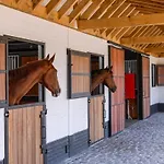 Huswell - Lady - Lovely Double Room At Ranch De Blauwe Zaal