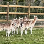 Hoeve Chartreuse