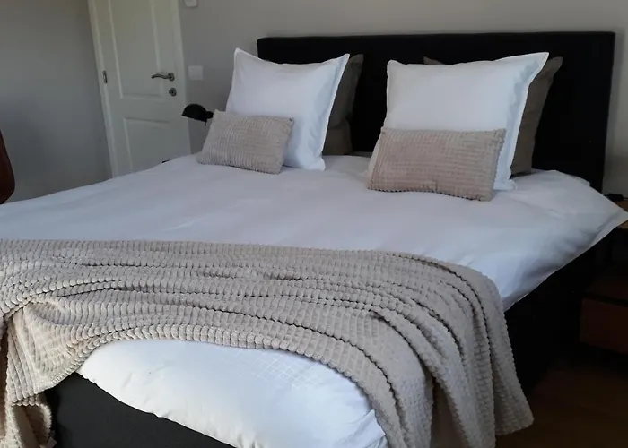 B&B Valant