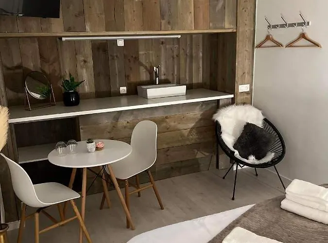 Ruime Luxe Kamer In Centrum Brugge Met Badkamer!