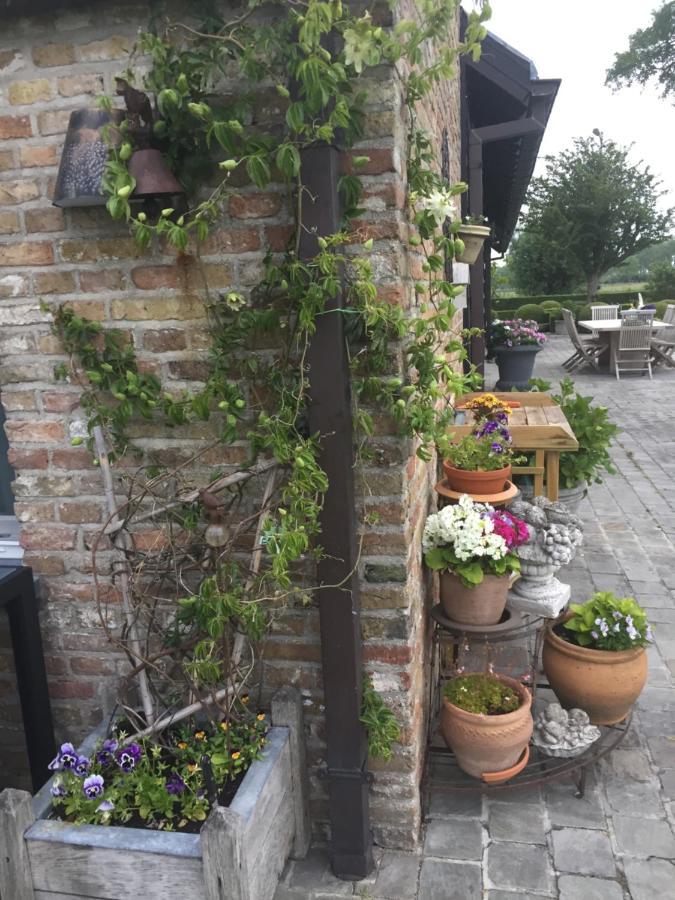 Logies De Meerkoet Bed & Breakfast Bruges