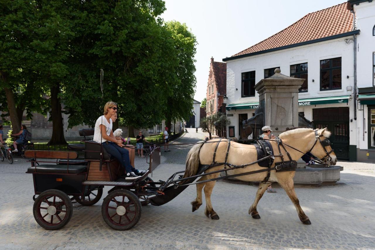 Haven 7 Bed & Breakfast Bruges