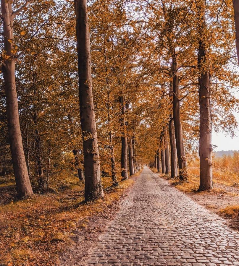 Privatunterkunft Ryckevelde Homestay *