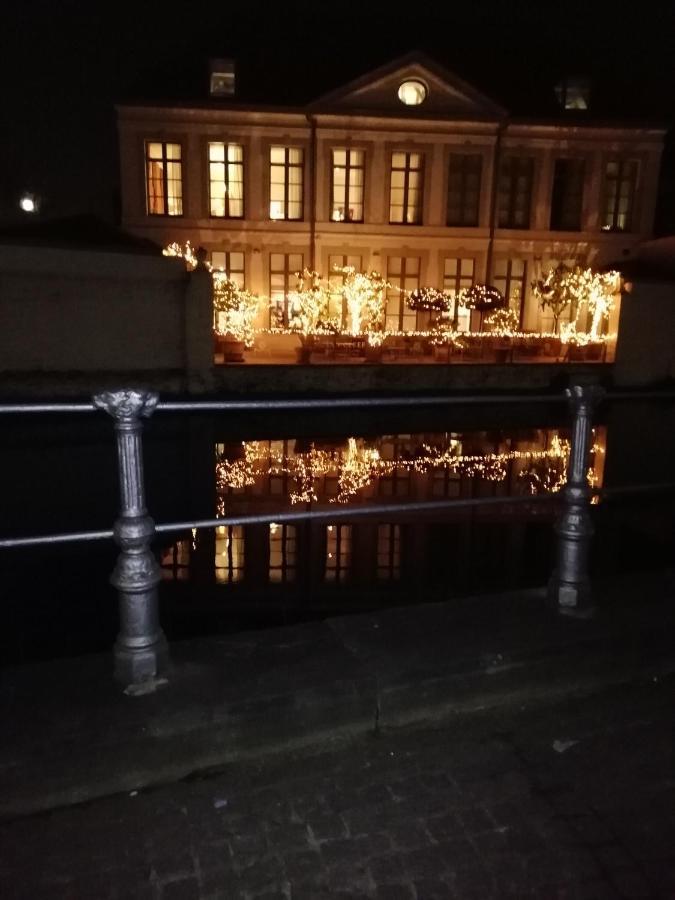 Mooie Zwaantjes