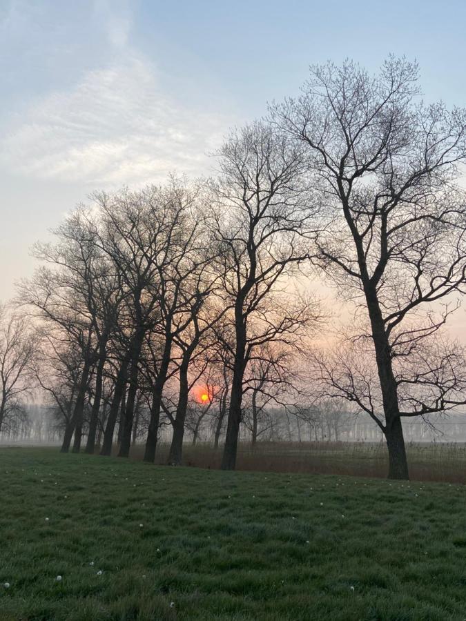 Bbrut * Brugge