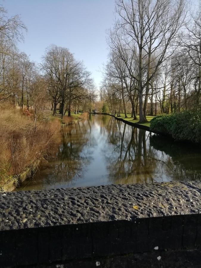 Mooie Zwaantjes