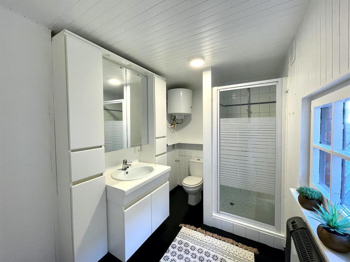 Large 3 Bedroom House With Terrace In The Center Of Bruges Holiday home *