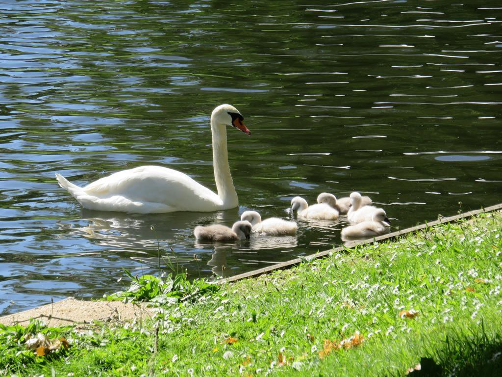 De Goede 13 Bed & Breakfast