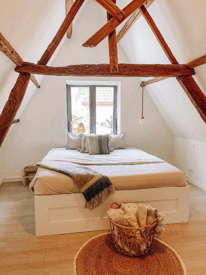 Cozy