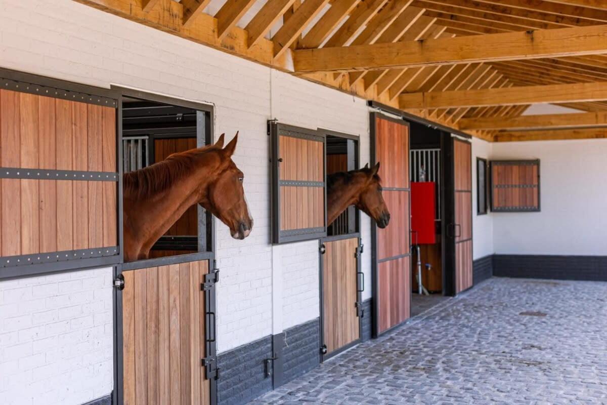 Huswell - Lady - Lovely Double At Ranch De Blauwe Zaal