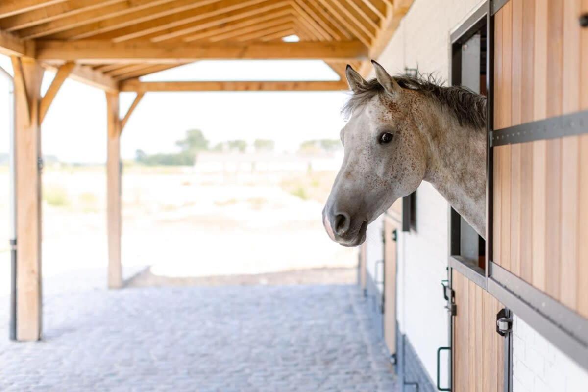 Huswell - Quick - Lovely Double At Ranch De Blauwe Zaal