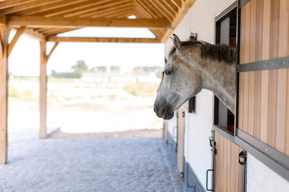Huswell - Lady - Lovely Double At Ranch De Blauwe Zaal Casa de férias Bruges