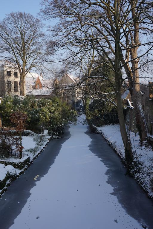Huis Koning Bed & Breakfast 3*