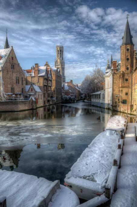 Accommodatie bij particulieren Suite Stays Bruges *
