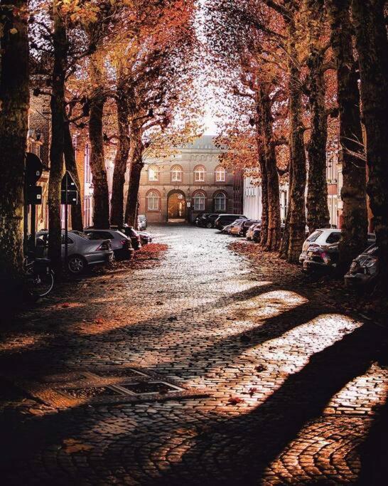 Suite Stays Bruges