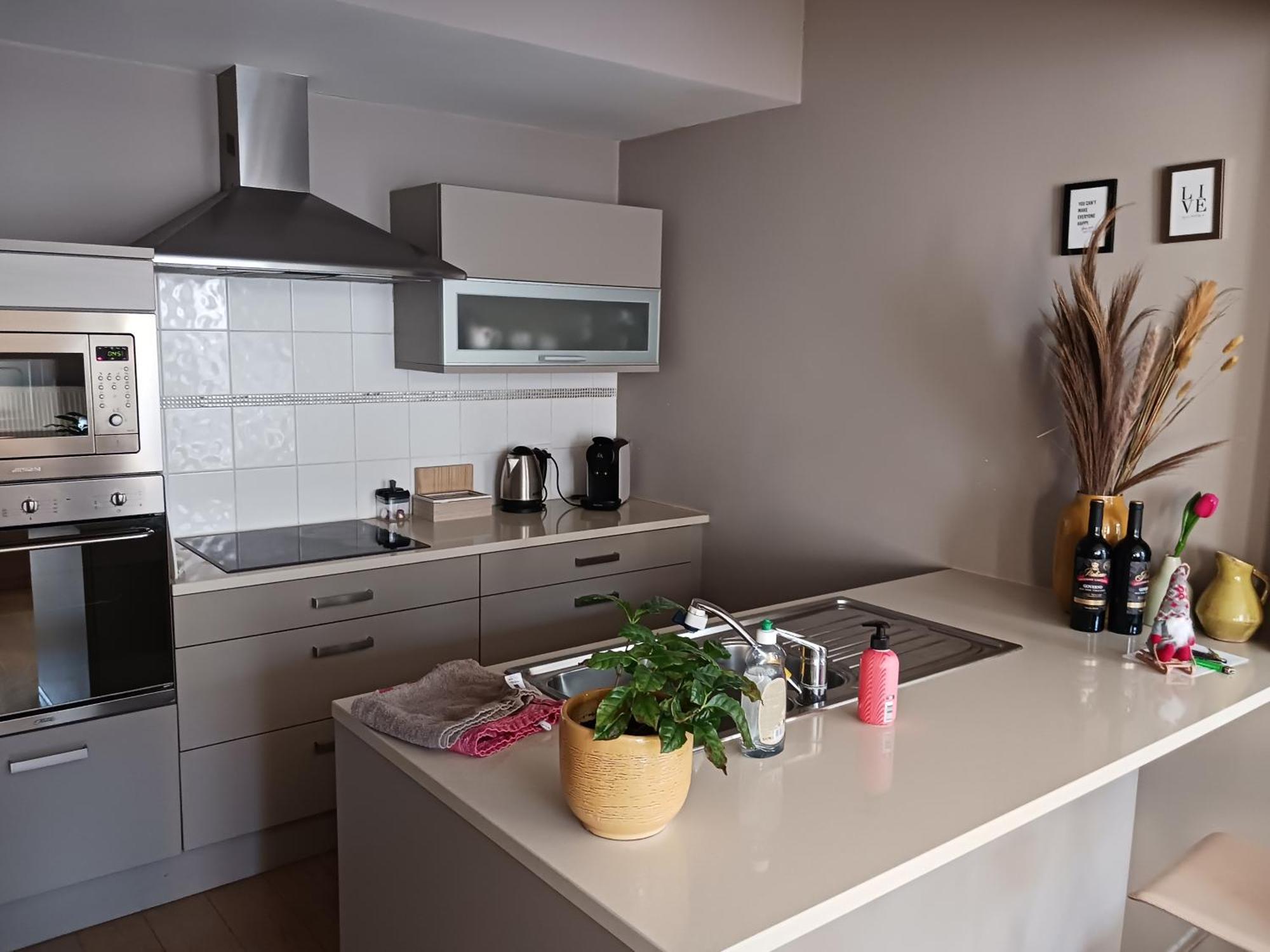 Apartamento L'ane Center & Parking *