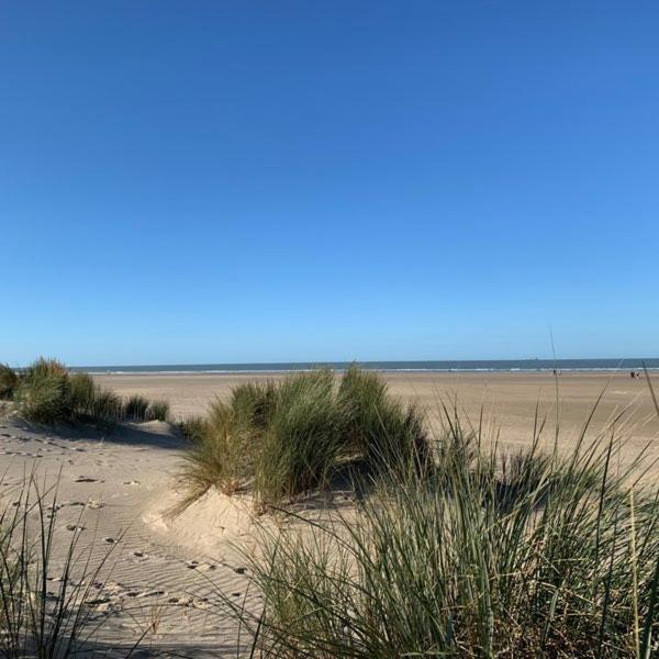 Villa Mistral : Strandhuis Voor 10 Personen Bruges