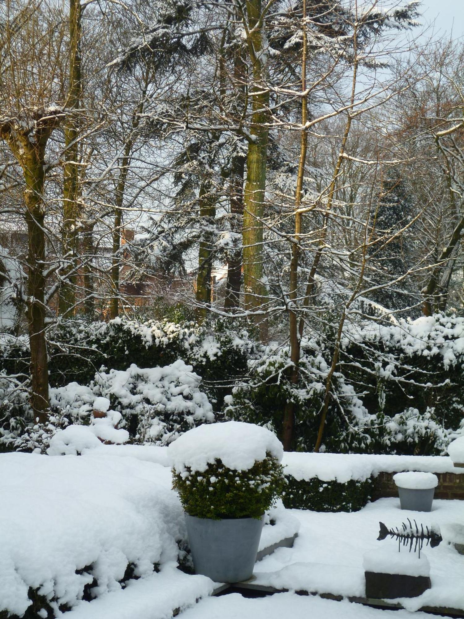Speelmansrei 4* Brugge