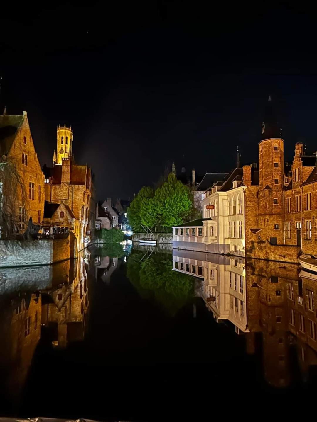 In Lace Bruges