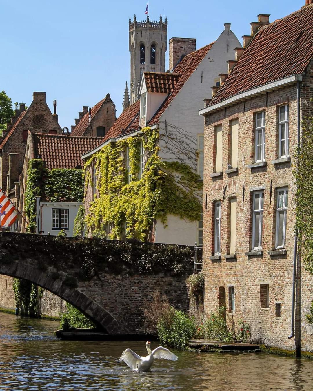 In Lace * Bruges