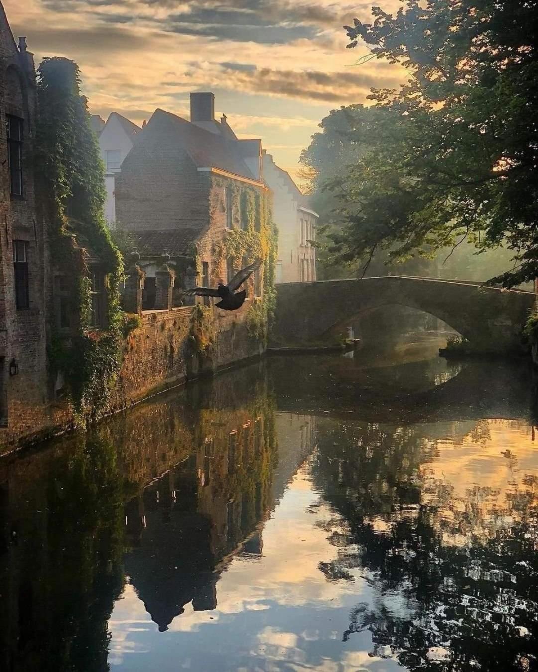 Bed & Breakfast In Lace Bruges