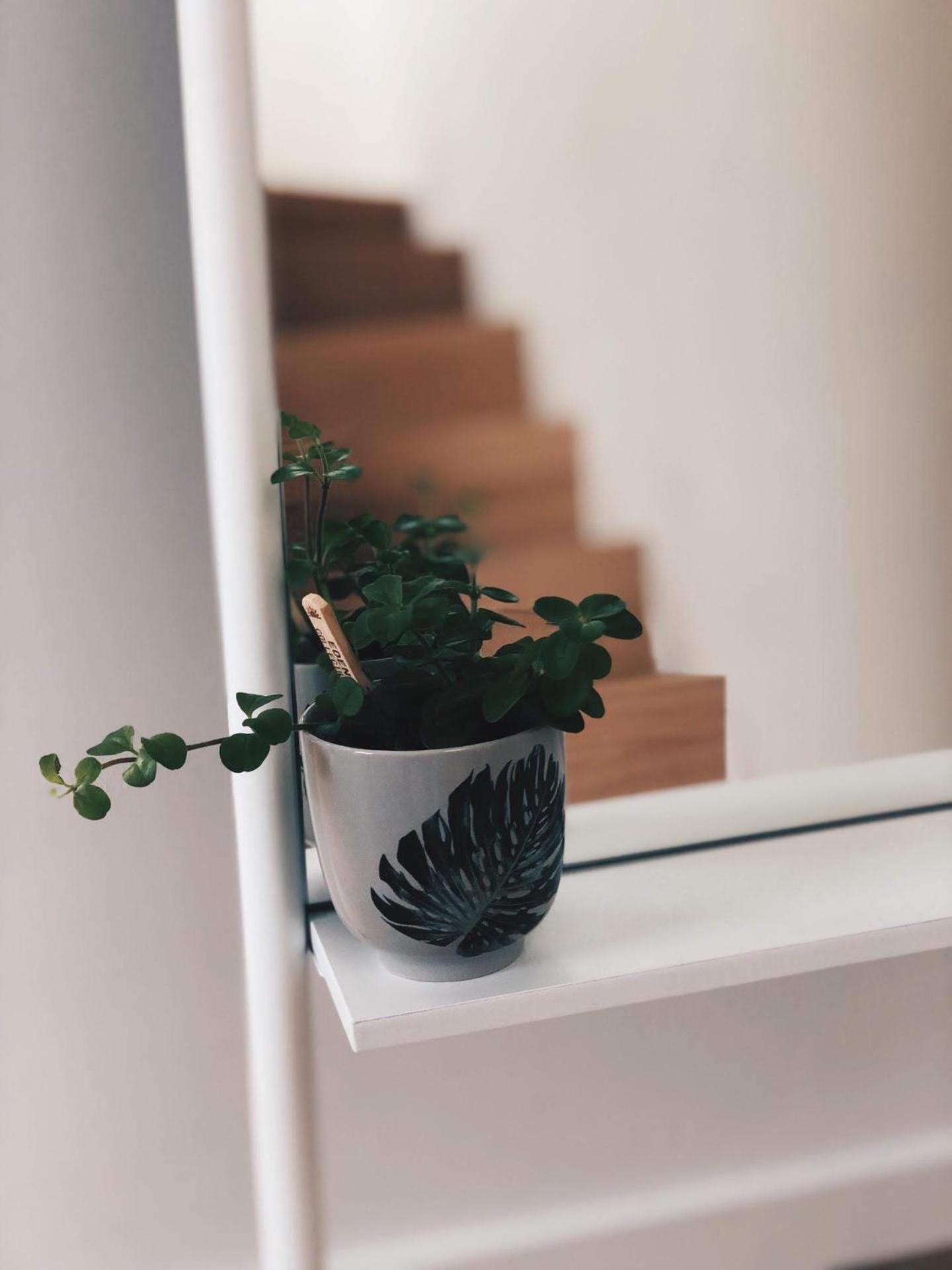 Penthouse La Naturale Zeezicht Apartment *
