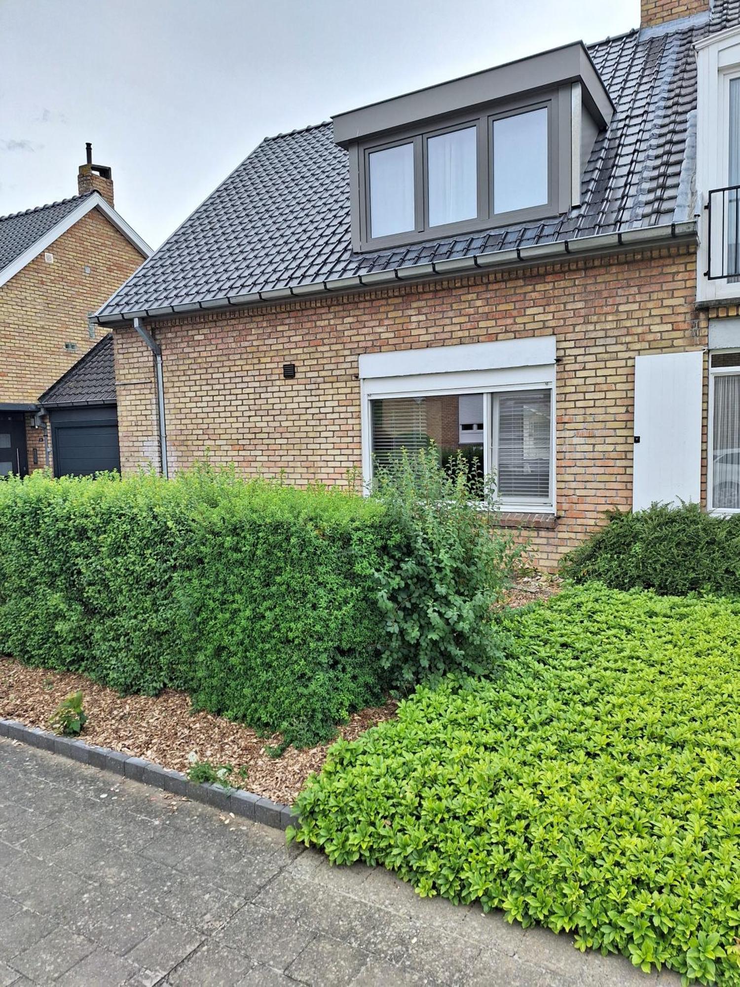 Our Lily House, Een Gezellig Familiehuis In Rustige Omgeving *