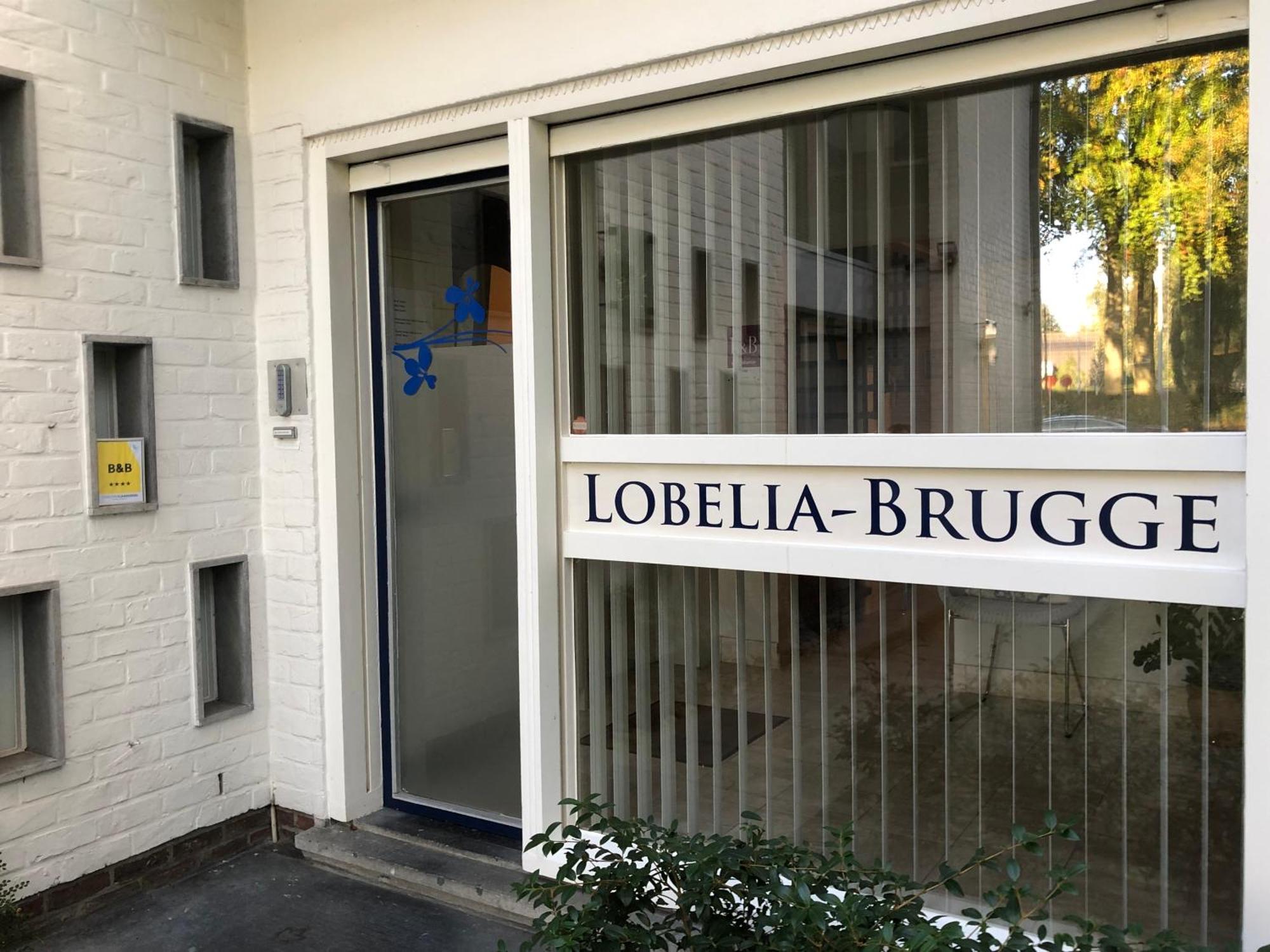 Lobelia-brugge Brügge