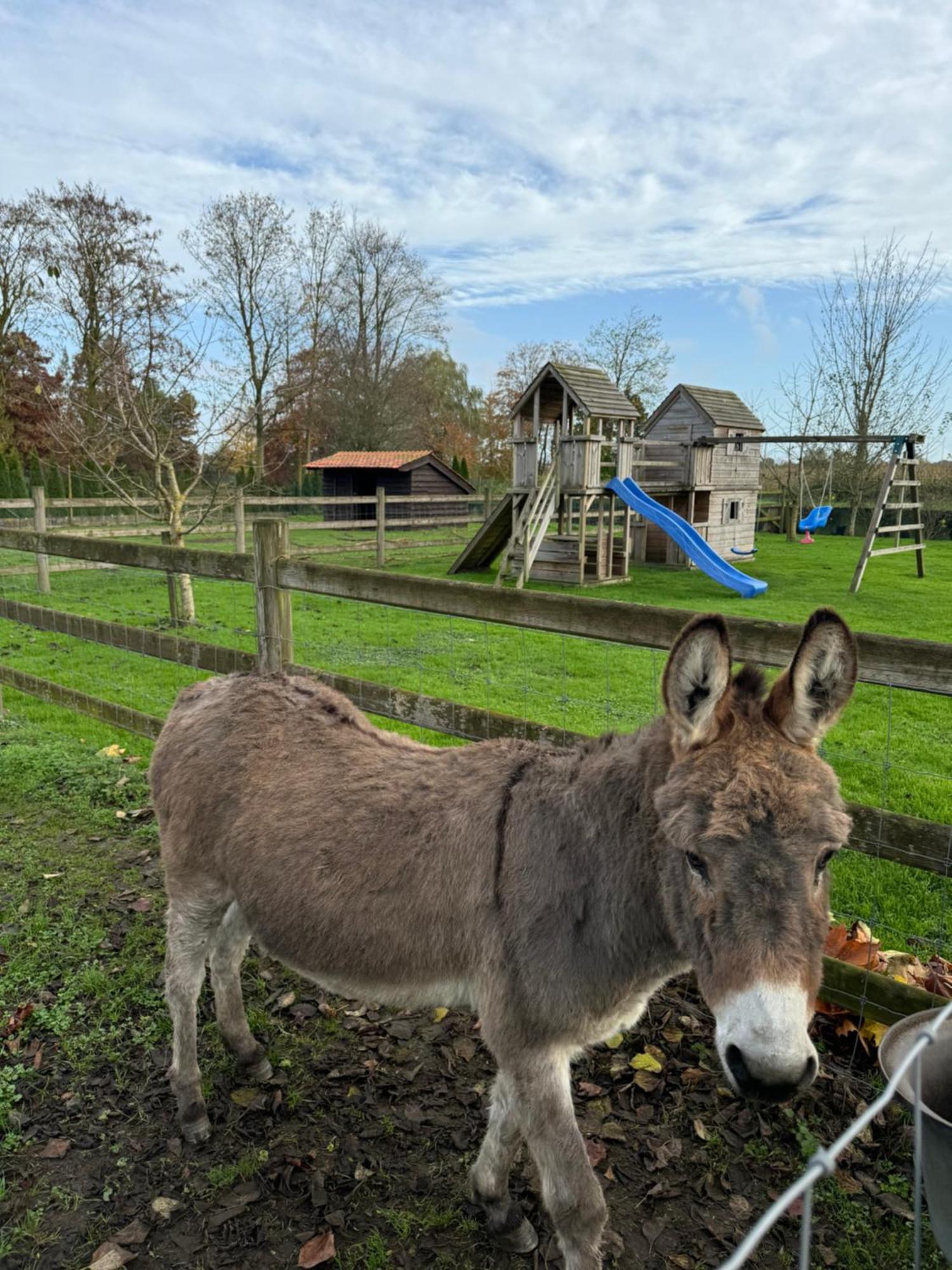 Hoeve Chartreuse