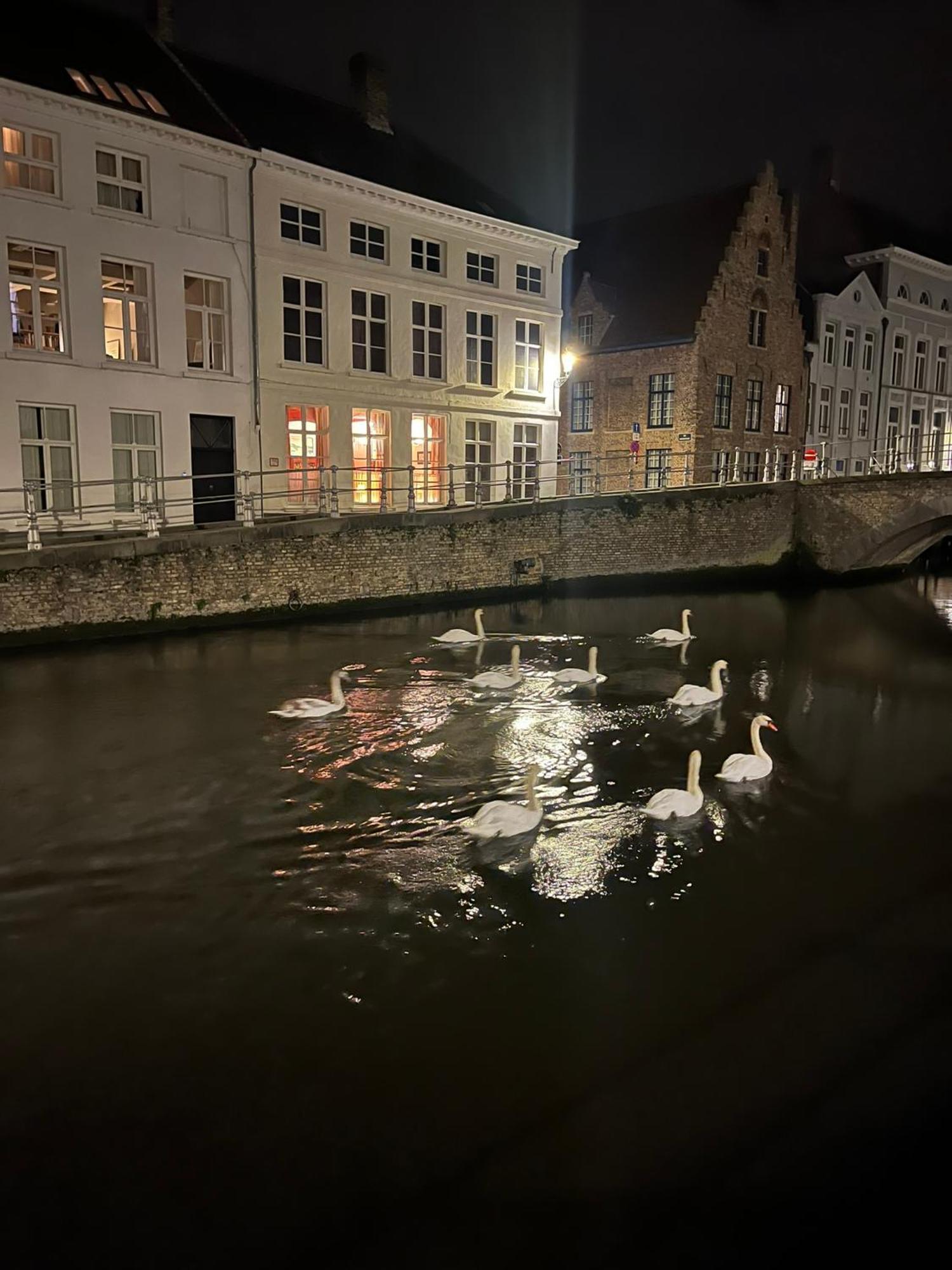 Anna9 * Bruges
