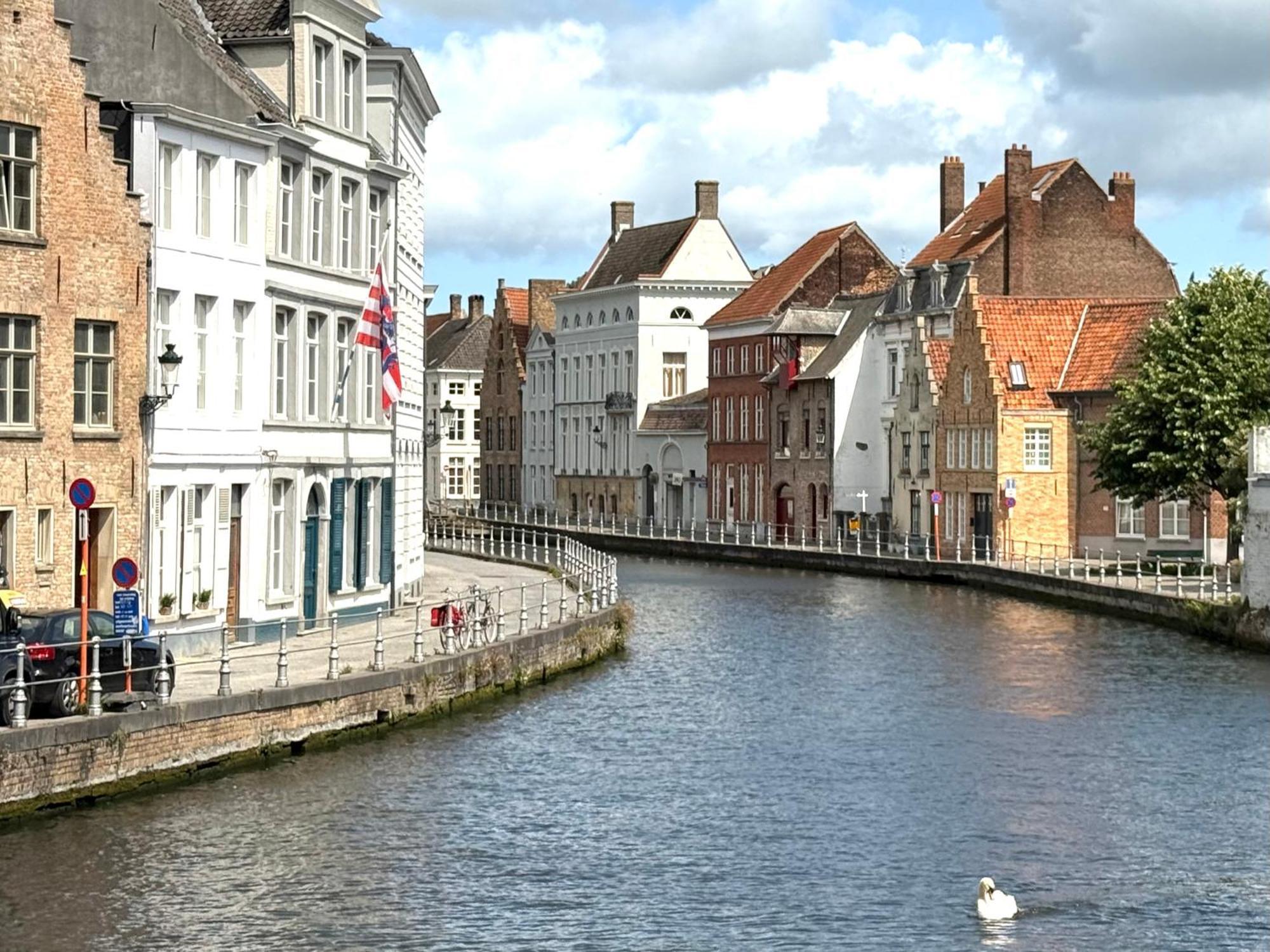 Sleeping Swan Bruges