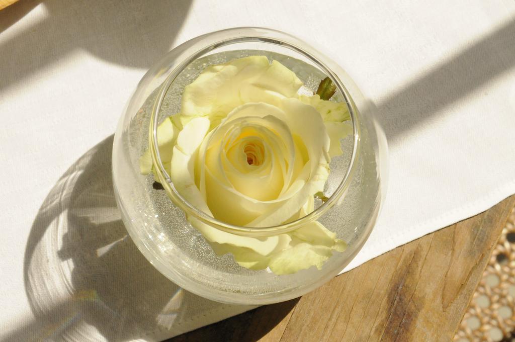 Bed & Breakfast Fine Fleur Bruges
