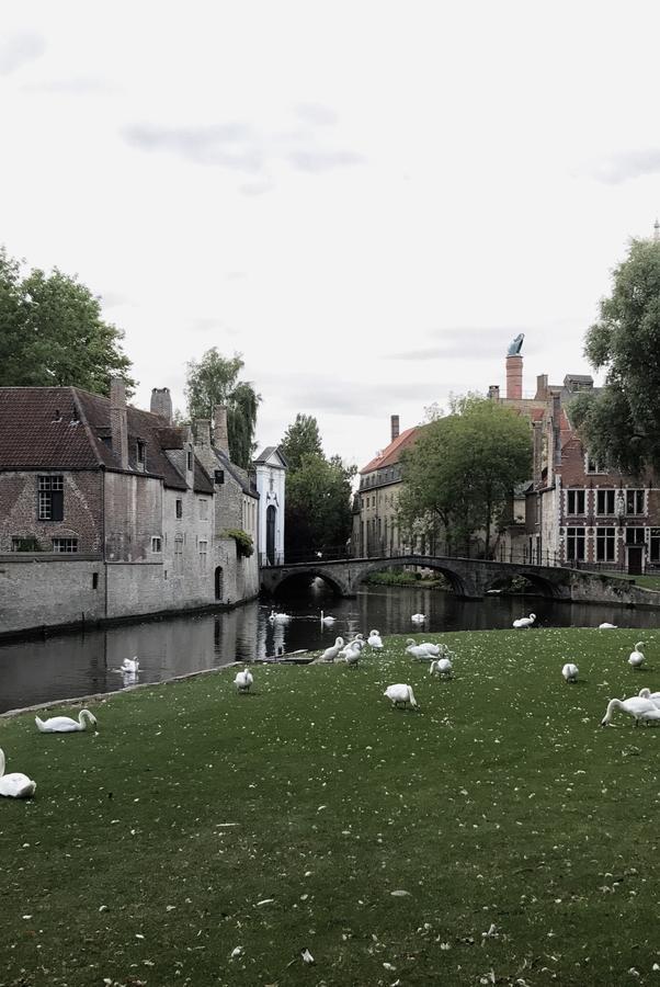 Odevaere - Charming & Luxurious With Terrace Bruges
