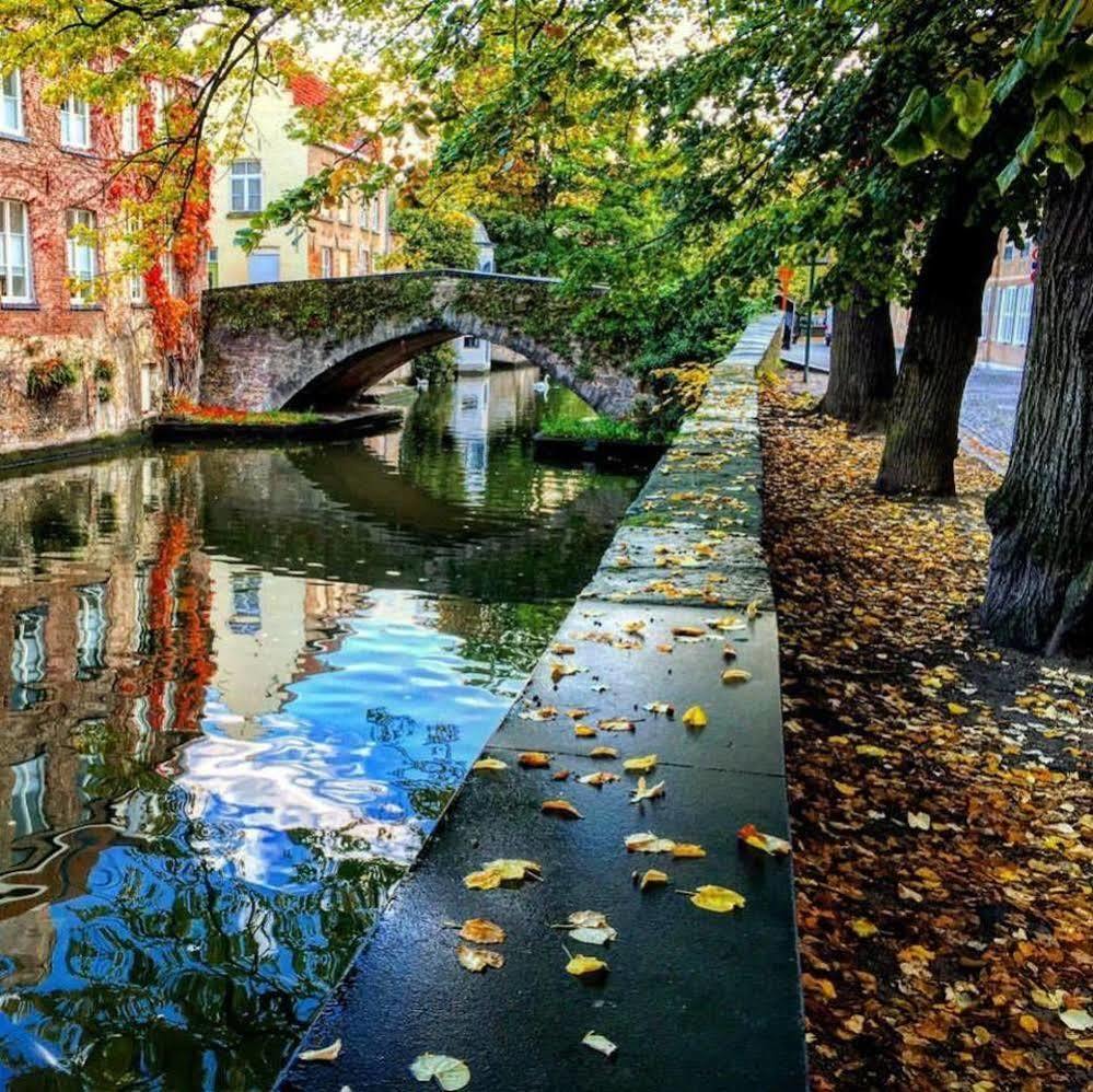 Apartment Dijver - Serene Escape In The Heart Of Historic Bruges