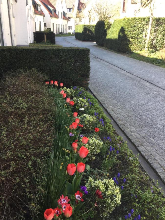 Het Colettientje