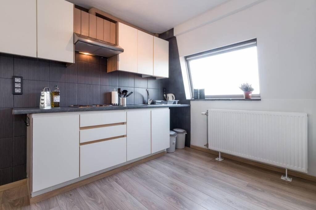 Duplex Appertement Met Zicht Damse Vaart @