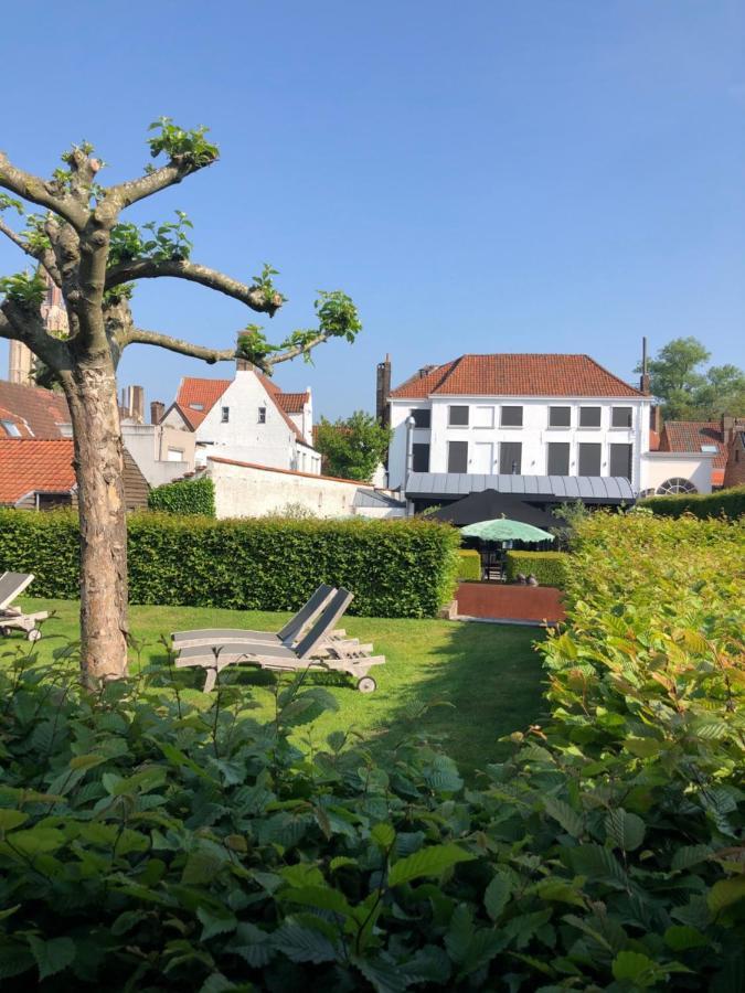 Montanus 4*
