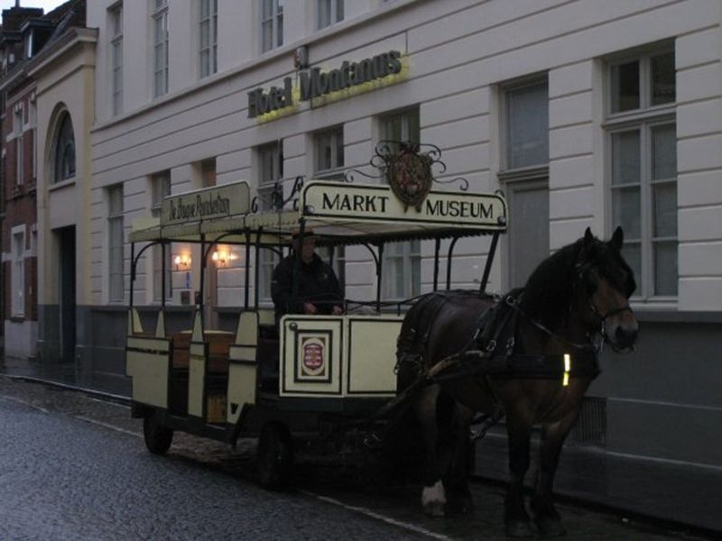 Montanus Hotel
