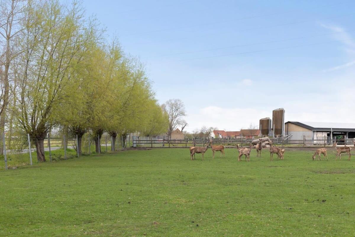 Huswell - Family House With A Beautiful View In Damme *