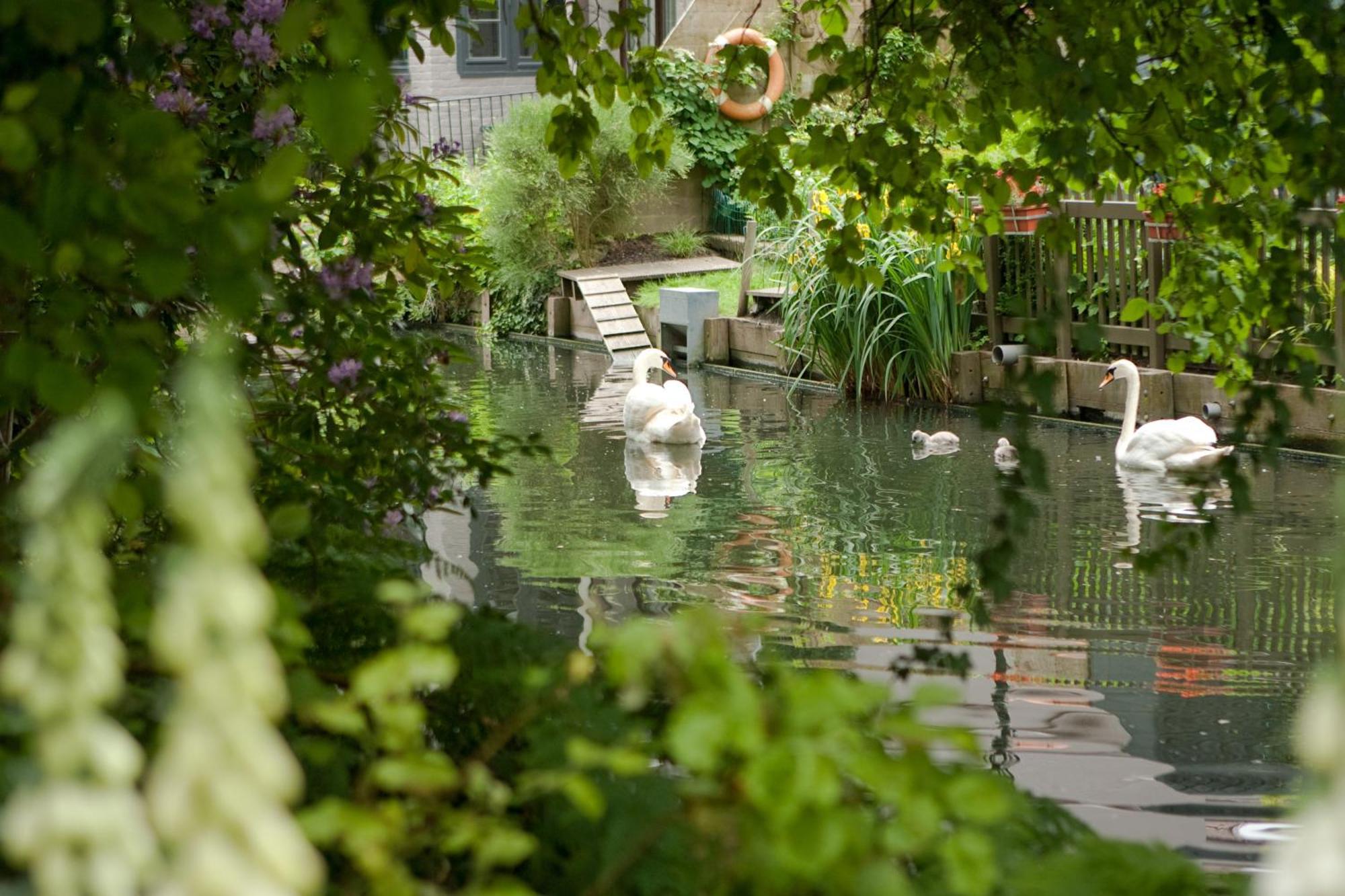 Canal Deluxe Brugge