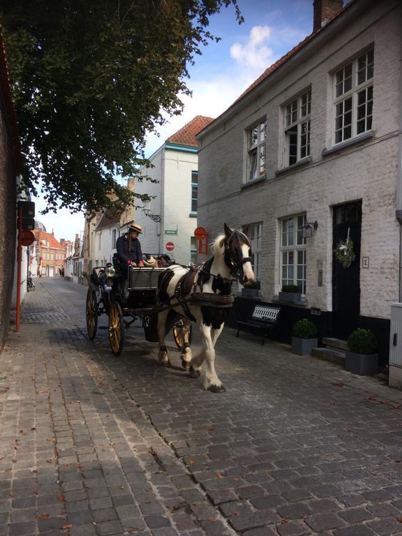 Guest house Guestsuite Lady Anna 4*