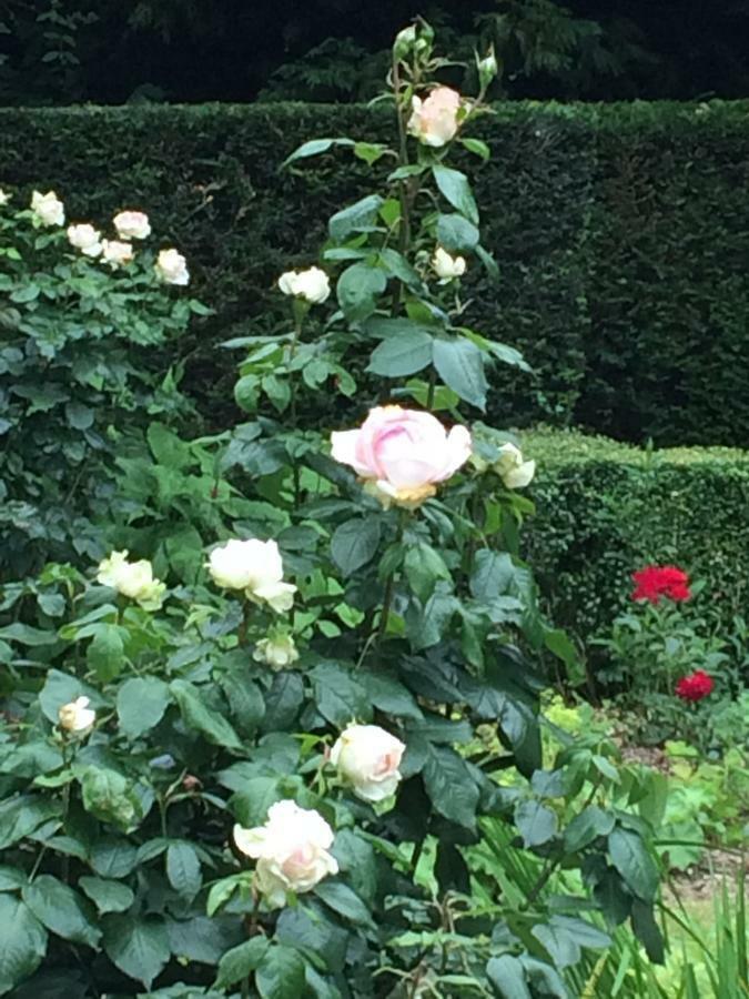 Hof Ter Beuke Bruges