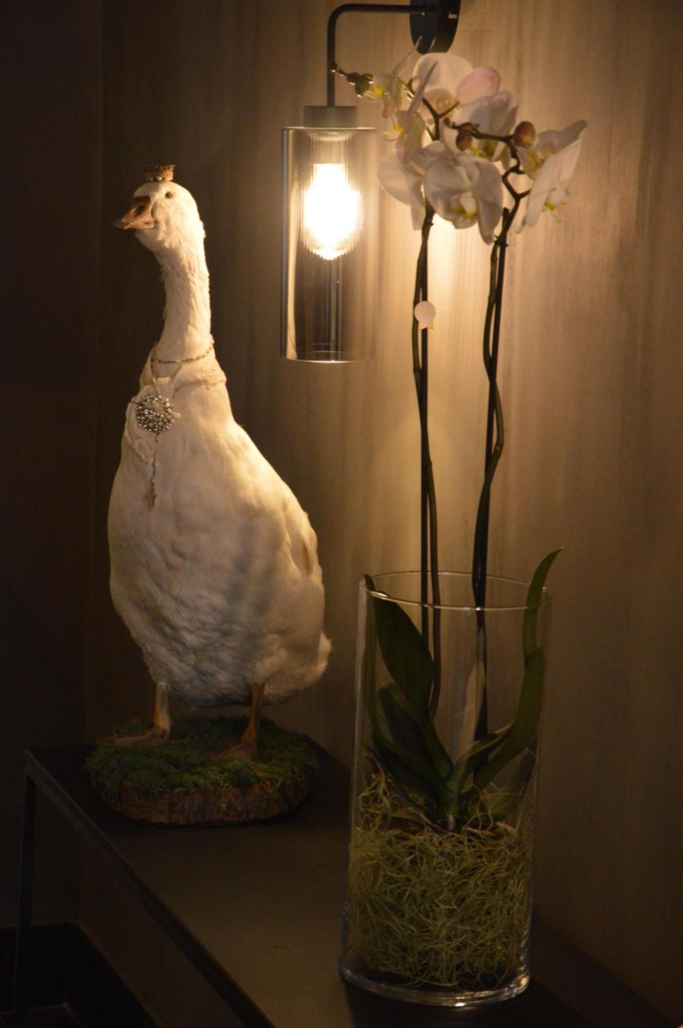 Bed & Breakfast Amato-brugge